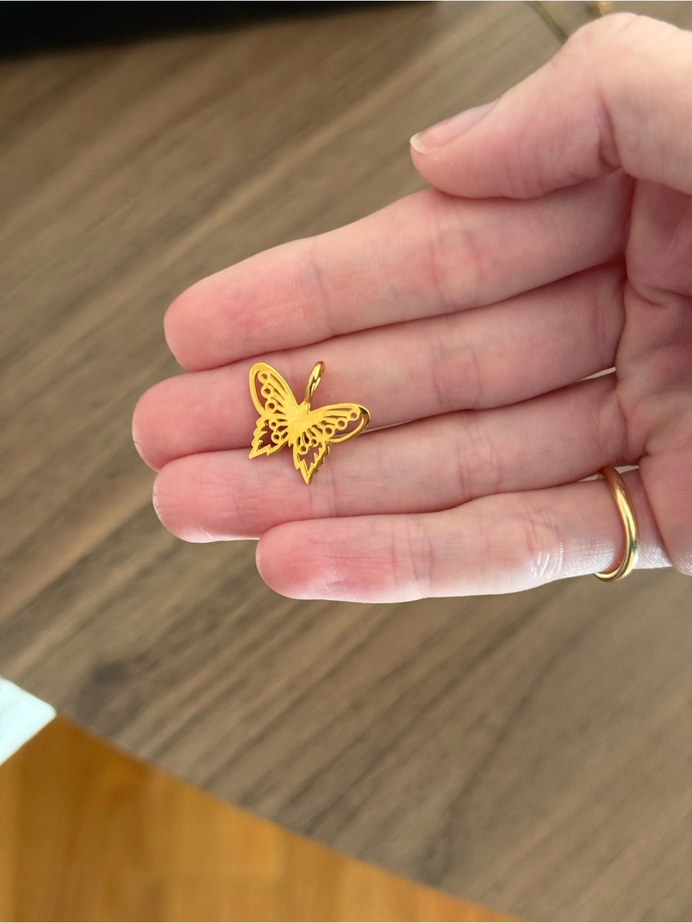 Are you am I Butterfly Pendant
